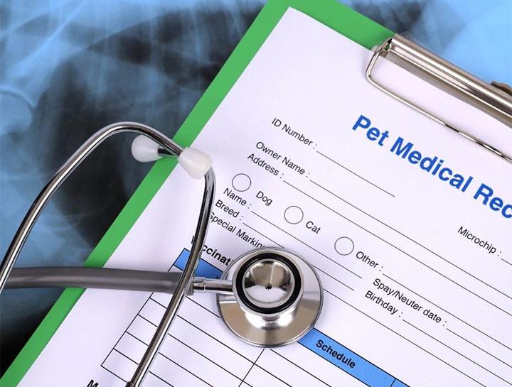 Pet Health Records Scappoose Veterinary Hospital