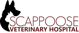 Link to Homepage of Scappoose Veterinary Hospital